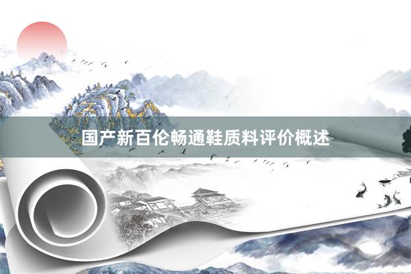 国产新百伦畅通鞋质料评价概述